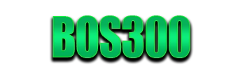 Logo BOS300
