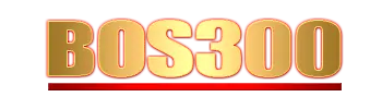 Logo BOS300